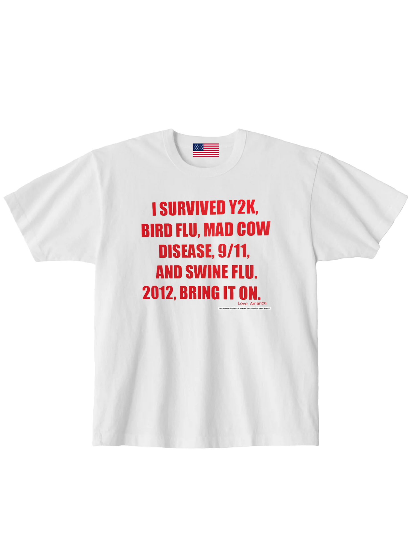 I Survived Y2K — Love, America