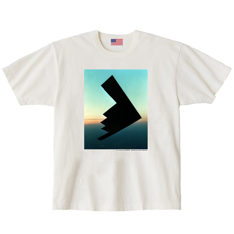 "Twilight B2" (04/08/26)