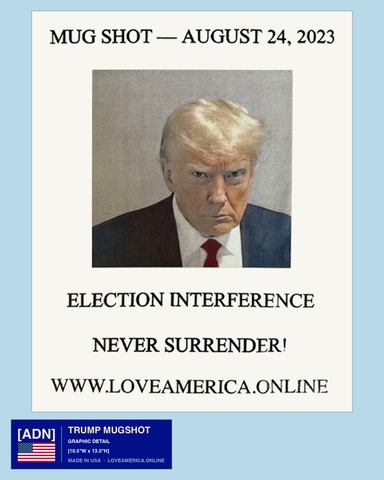 Trump Mugshot — graphic detail
