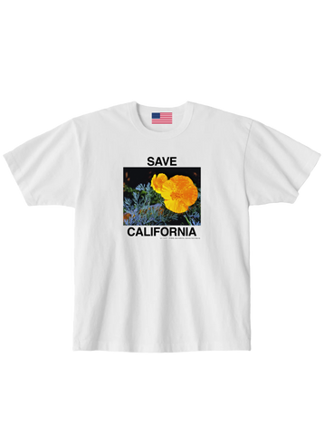 Save California — Love, America