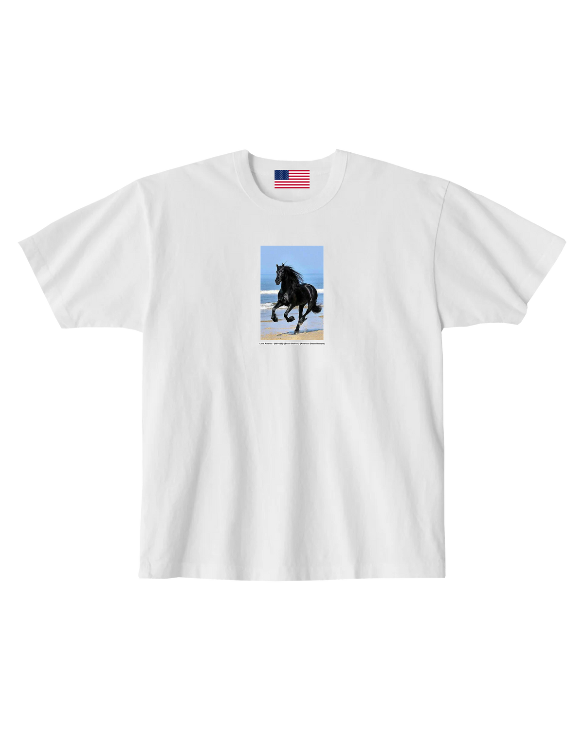 Beach Stallion — Love, America