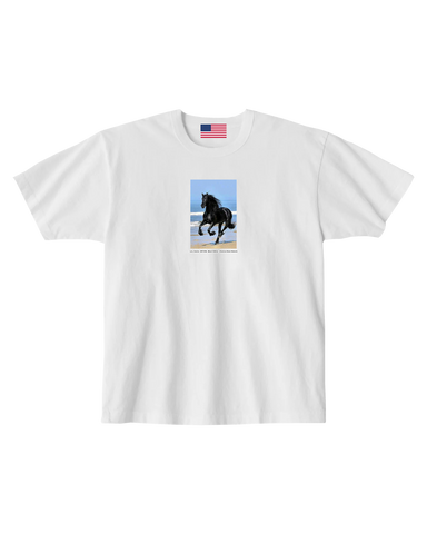 Beach Stallion — Love, America