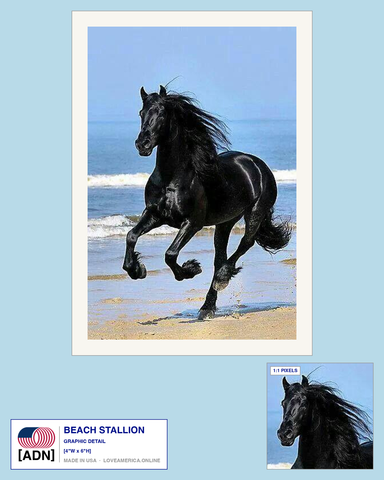Beach Stallion — graphic detail