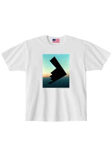 Twilight B2 — Love, America