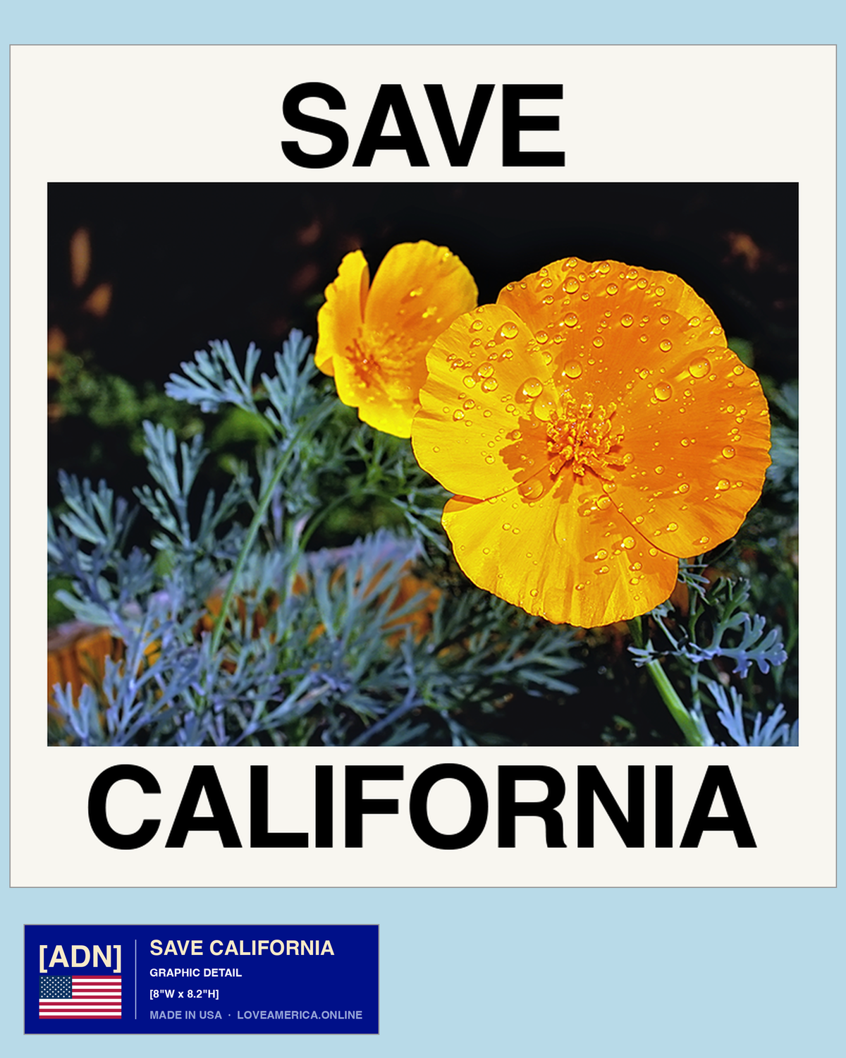 Save California — graphic detail
