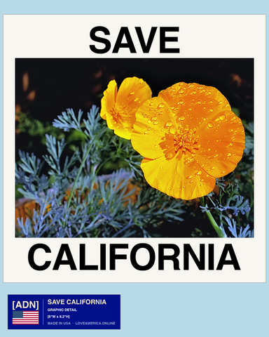 Save California — graphic detail